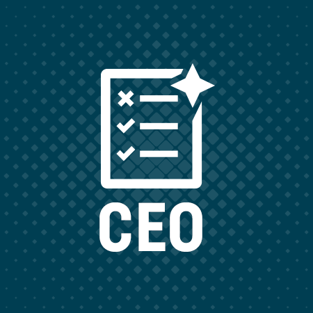 ceo assessment